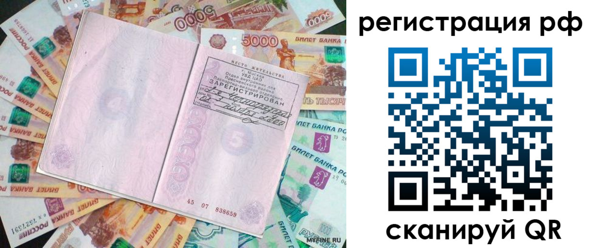 прописка в квартире в Кольчугино